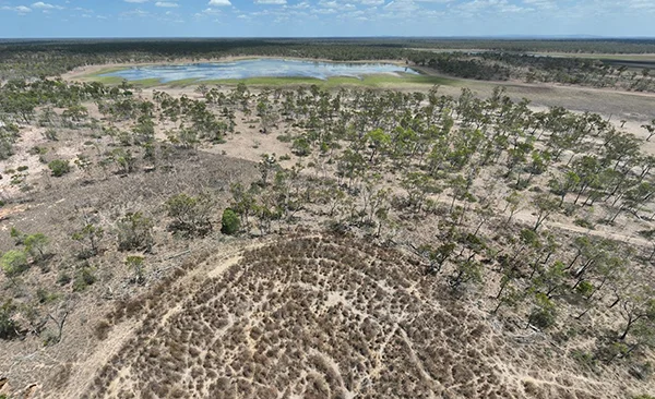 Miles Lake Vegetation protects five sites