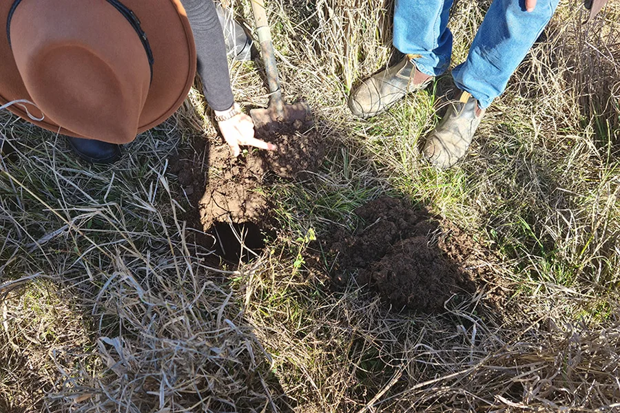 An opportunity for graziers in the Suttor to access land management support and training.