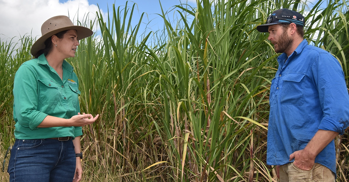 Automated irrigation system saved David Fowler time and money.
