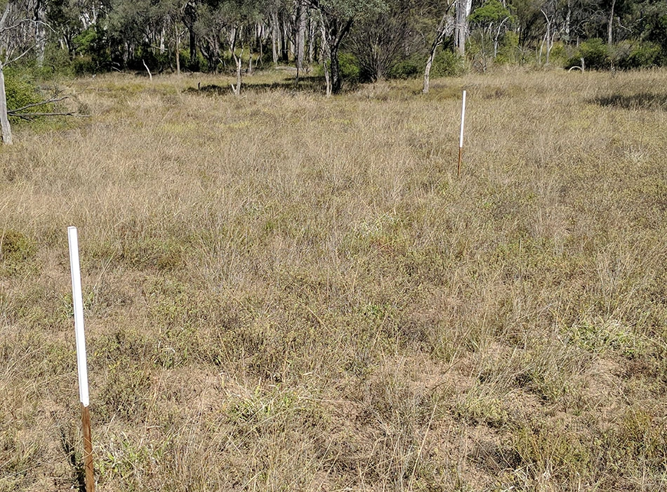 Managing land means focusing on areas in poor condition and improving them.