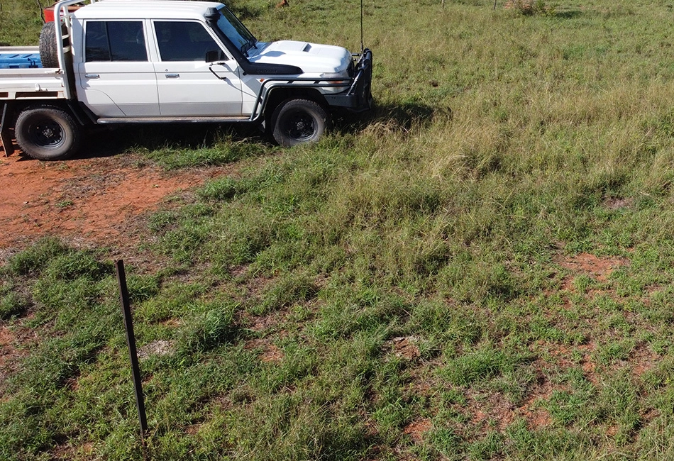 A GRASS plan helped Kirwood Downs' graziers rejuvenate degraded land.