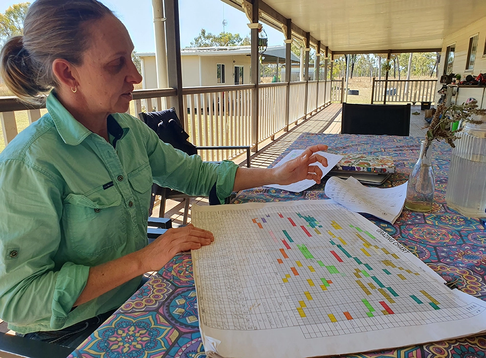 Planning for continuous improvement