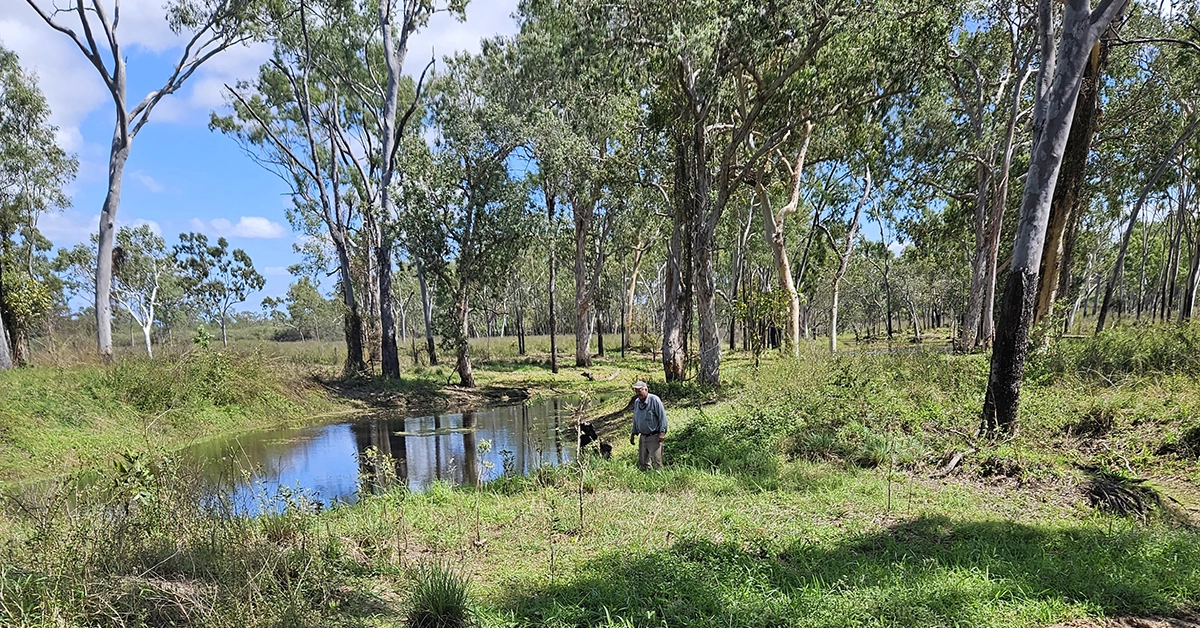 The GRASS program can help landholders manage grazing pressure evenly.