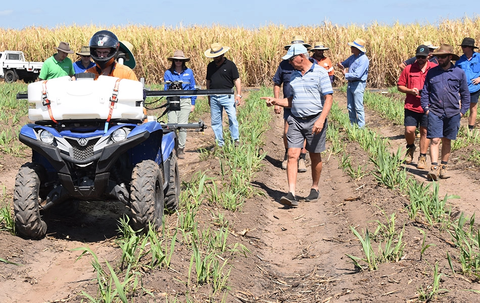 Robotic sensors only spray weeds. Now that's smart farming.