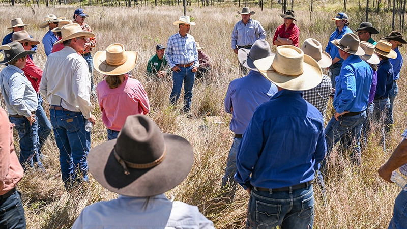Workshops foster practices to help with landscape repair.