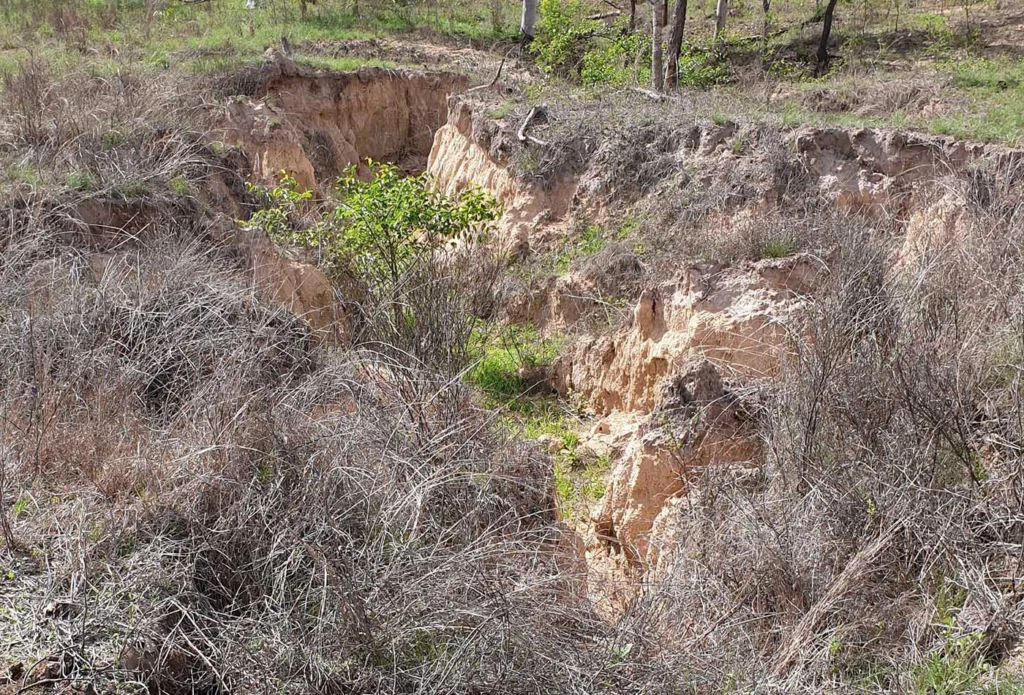 Land management includes measures aimed at preventing existing gullies from growing bigger.
