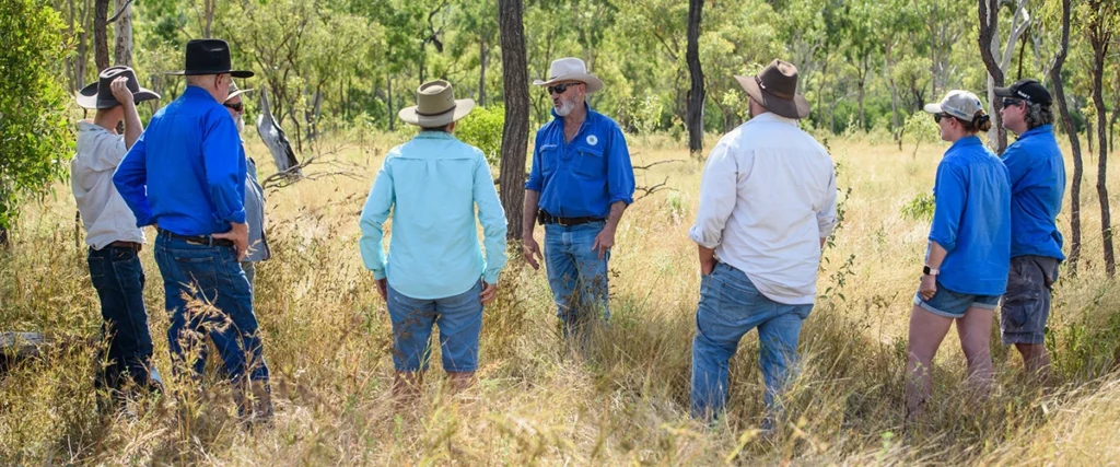 Ensuring the target groundcover remains at the end of the wet season is crucial.