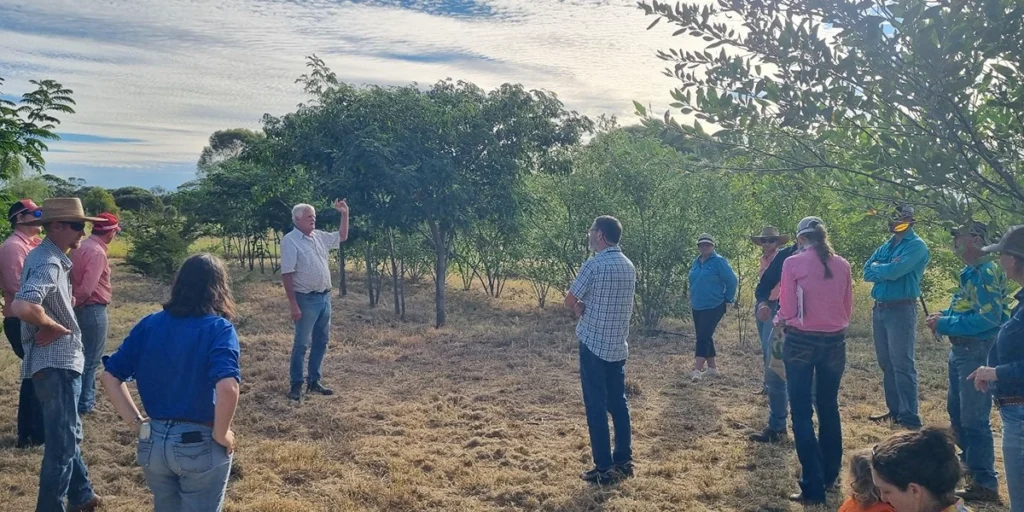 The Regional North Queensland Australian Beef Research Committee meeting in the field.