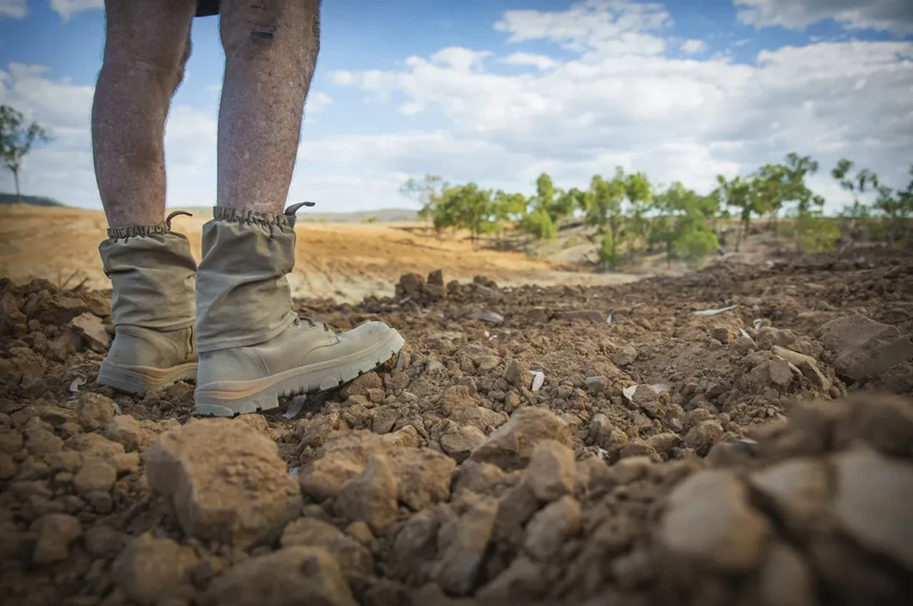 Grazier Jim Hiller is an expert in landscape remediation.