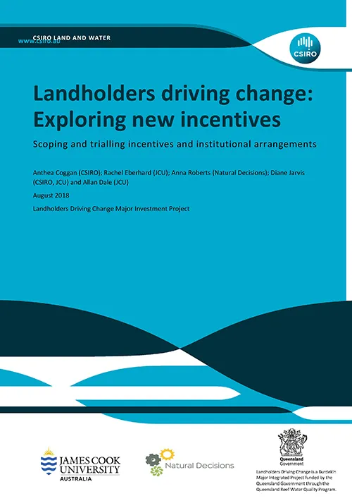 Report into incentives for the LDC project.