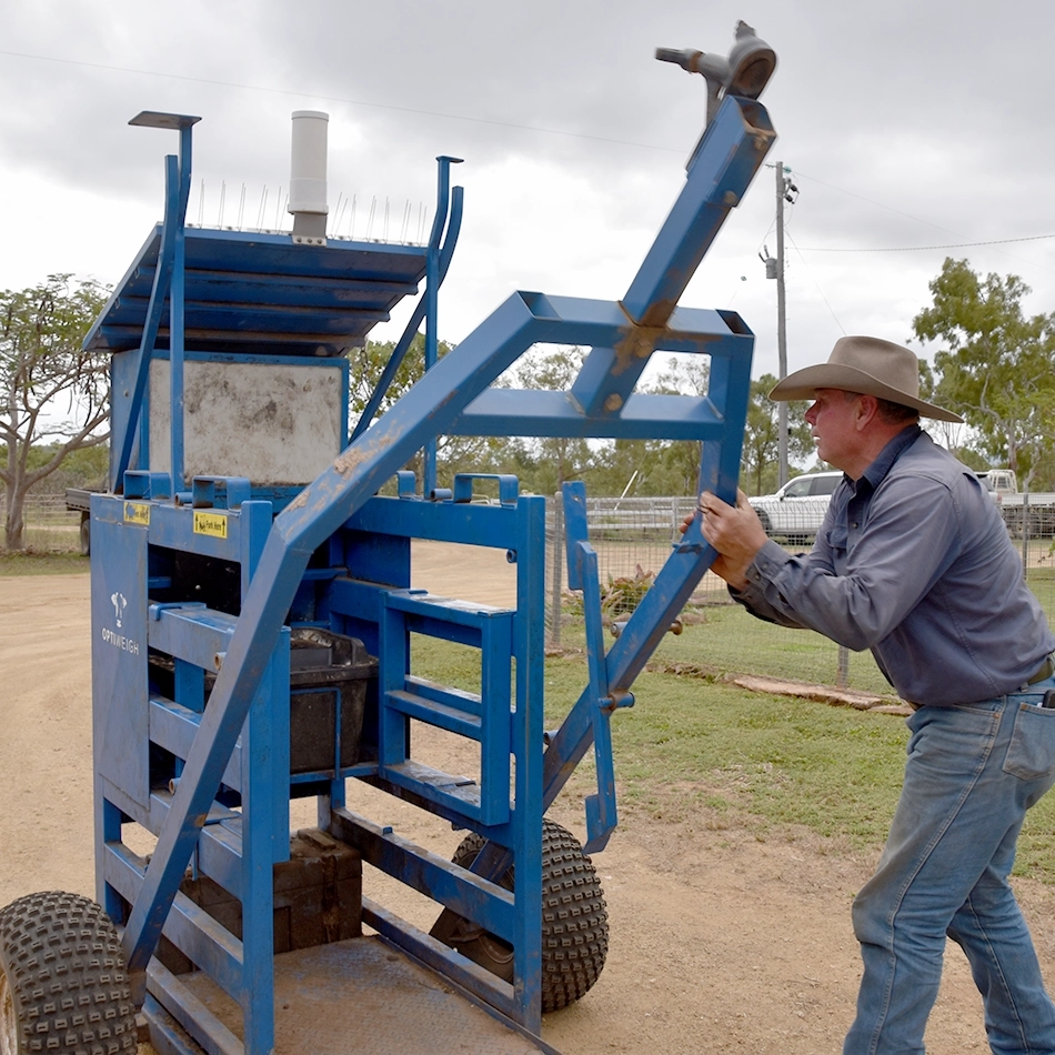 Grazier Barry O'Sullivan shows how easy it is to set up the device to weigh cattle.