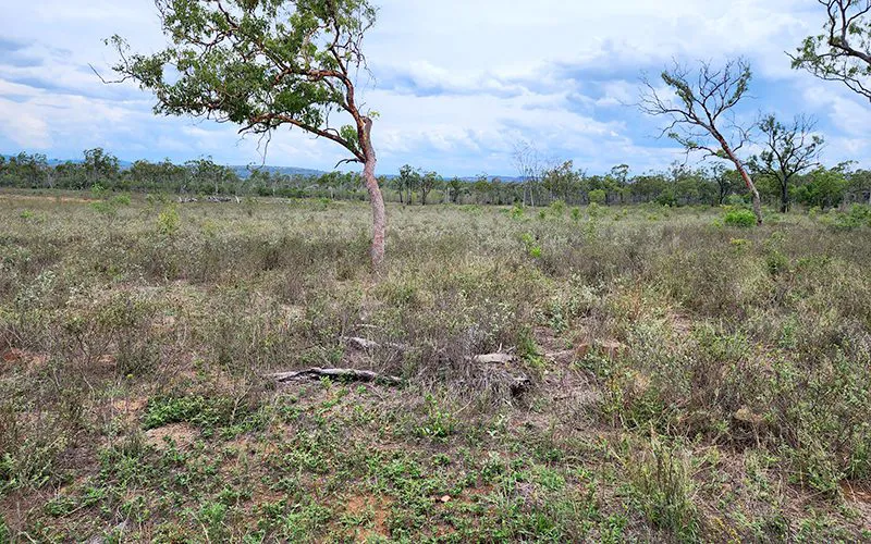 Right Image