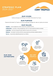 NQDT Strategic Plan