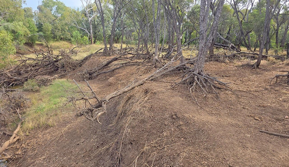 Rehabilitation of Logan Creek has begun.
