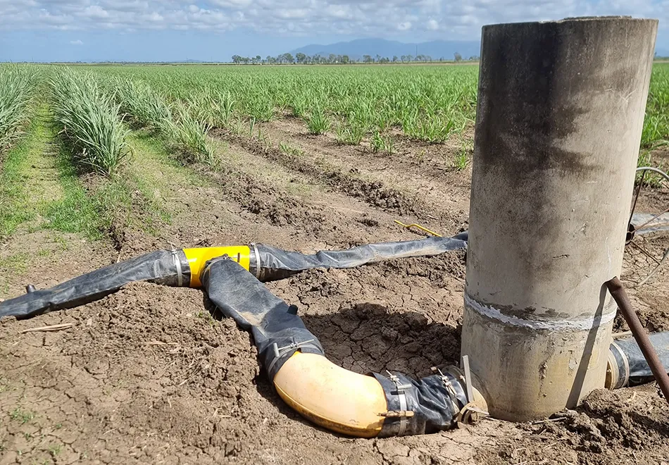 Automating the irrigation system can save money and reduce or eliminate runoff.