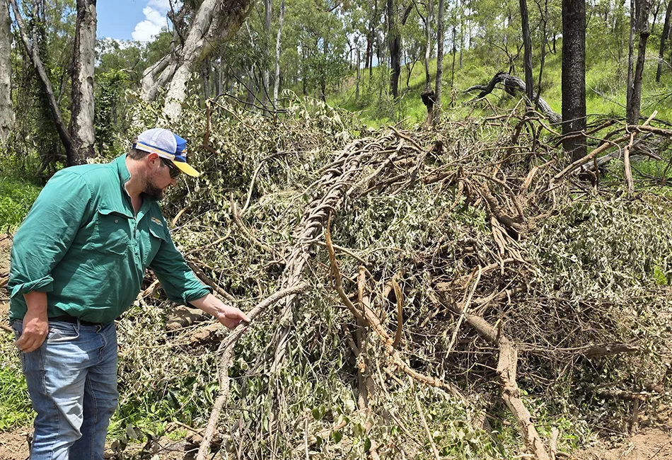 Weeds make a landscape less resilient to climate.