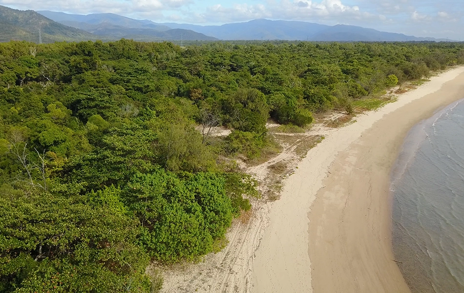 Restoration work has been carried out at many NQ beach sites.