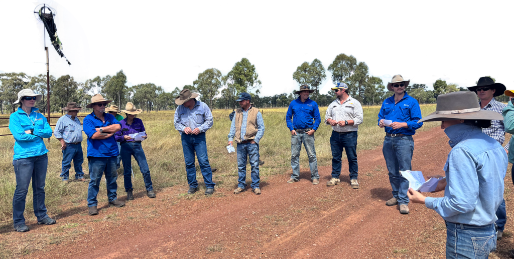 Graziers on a road trip visited several different properties to see a wide variety of techniques.