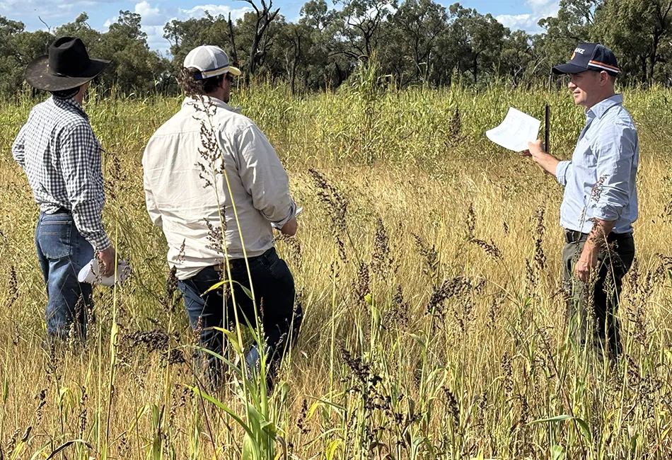 BBB graziers check out the Maryvale Station legumes trial.