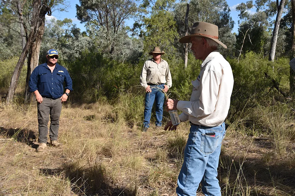 Scientific data from the Wambiana grazing trials has been collected for almost 30 years.