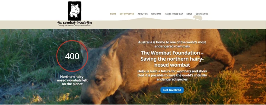 The Wombat Foundation site