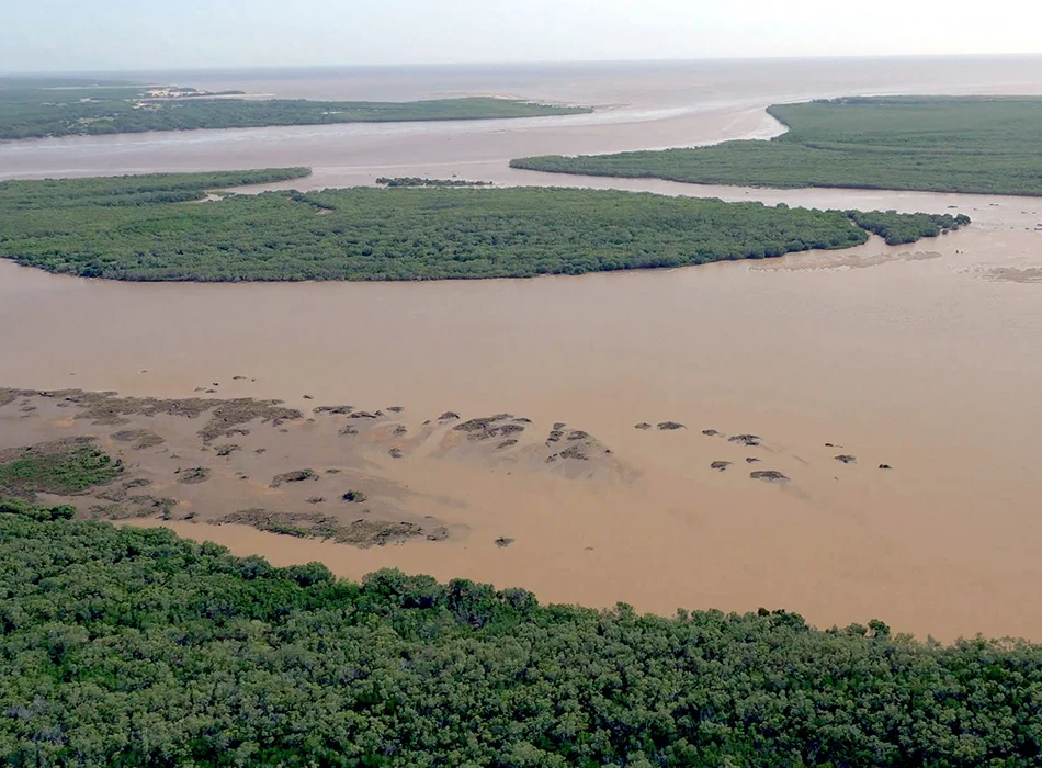 Sediment flowing from the mainland, sometimes originating hundreds of kilometres from the coast, can reach the Great Barrier Reef, reducing water clarity, slowing, or stopping coral growth and making it more vulnerable to disease.
