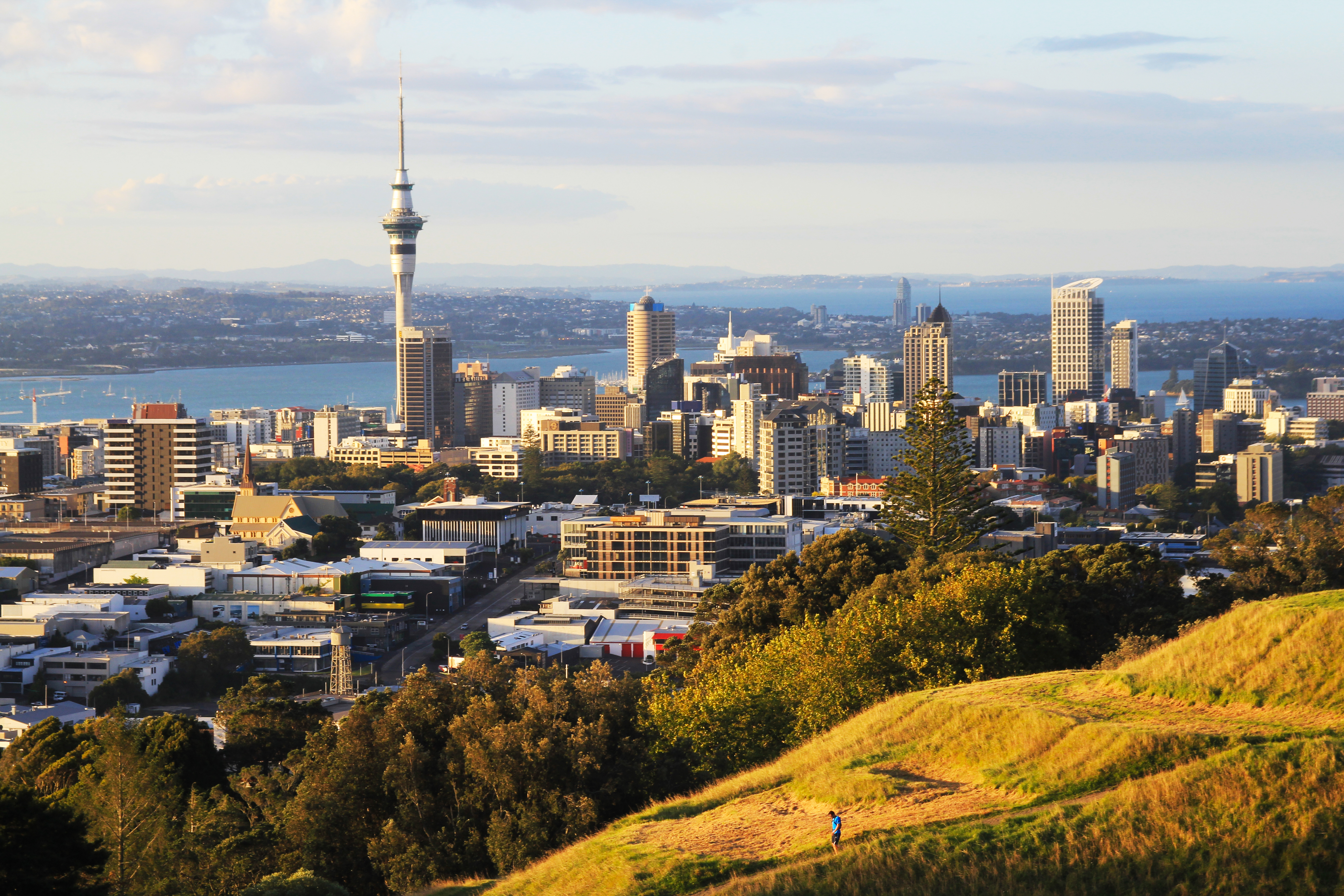 Report from the future: Aotearoa New Zealand is looking good in 2040 – here’s how we did it