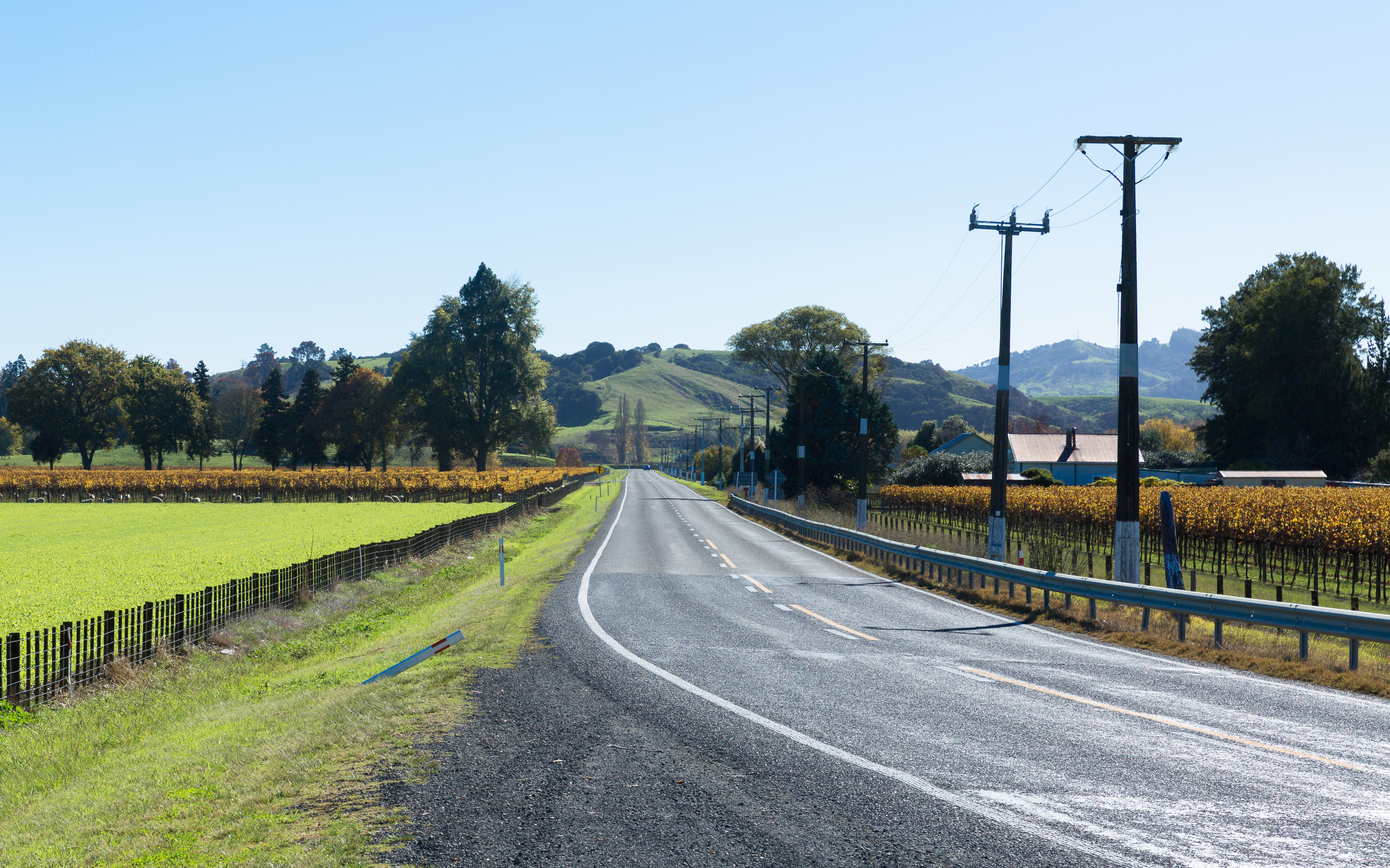 Six Hauora Taiwhenua wishes for a healthier rural New Zealand