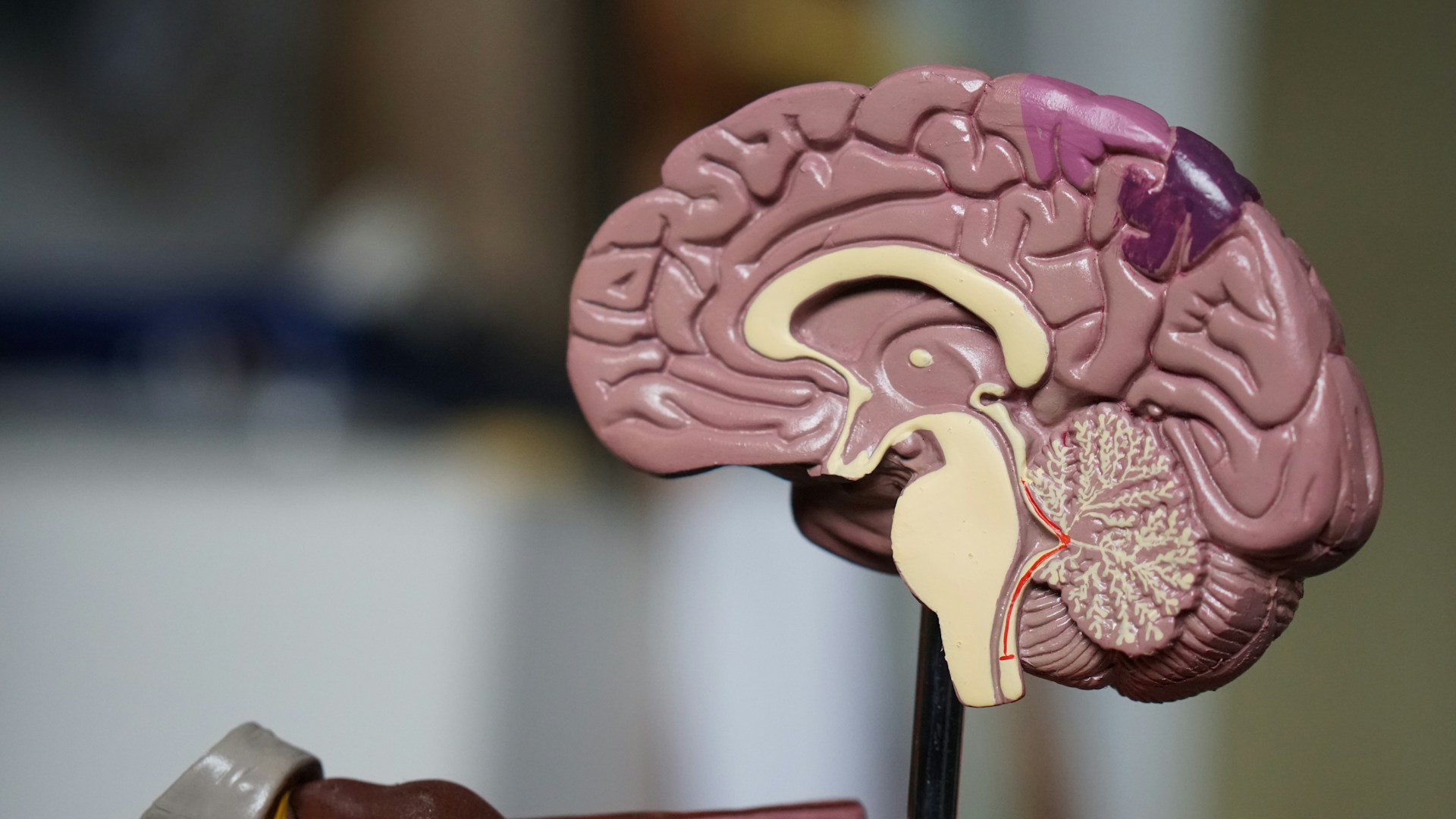 Neuropathic pain has no immediate cause – research on a brain receptor may  help stop this hard-to-treat condition | New Zealand Doctor