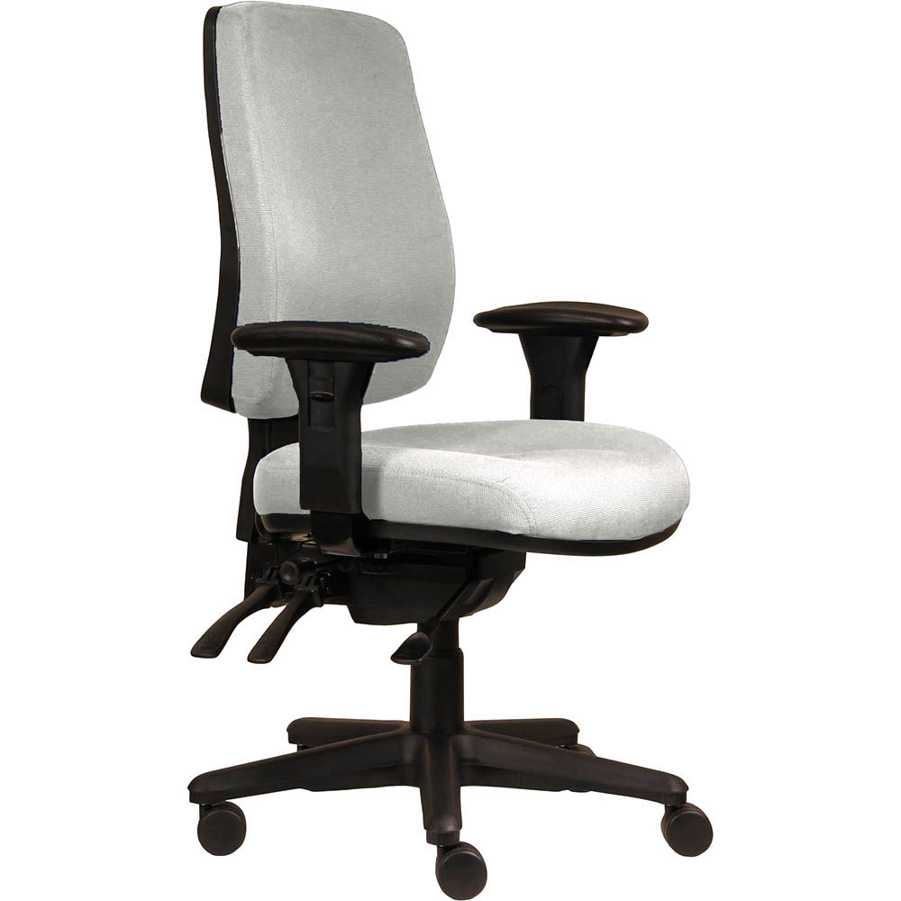 ERGOSELECT SPARK ERGONOMIC CHAIR HIGH BACK 3 LEVER SEAT SLIDE BLACK NYLON BASE ADJUSTABLE ARMS ICE