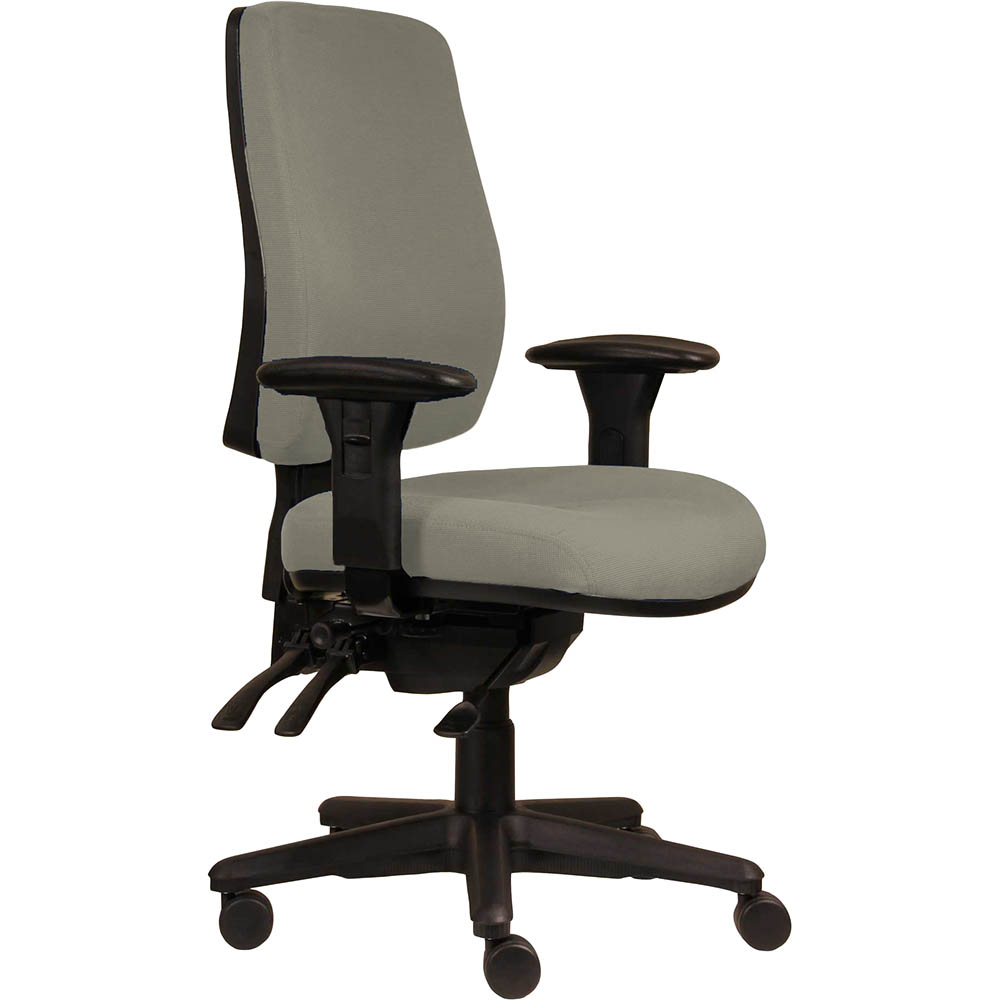 ERGOSELECT SPARK ERGONOMIC CHAIR HIGH BACK 3 LEVER SEAT SLIDE BLACK NYLON BASE ADJUSTABLE ARMS DRIFTWOOD