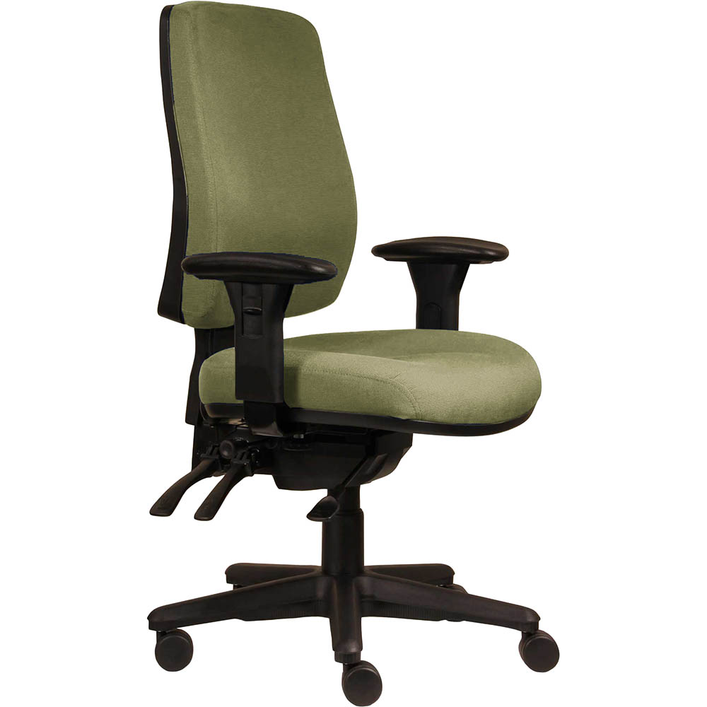 ERGOSELECT SPARK ERGONOMIC CHAIR HIGH BACK 3 LEVER SEAT SLIDE BLACK NYLON BASE ADJUSTABLE ARMS APPLE