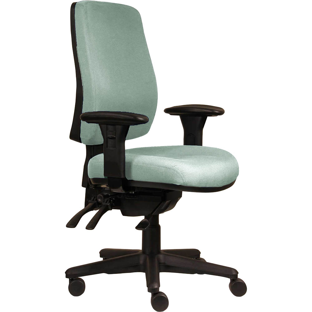 ERGOSELECT SPARK ERGONOMIC CHAIR HIGH BACK 3 LEVER SEAT SLIDE BLACK NYLON BASE ADJUSTABLE ARMS CLOUD