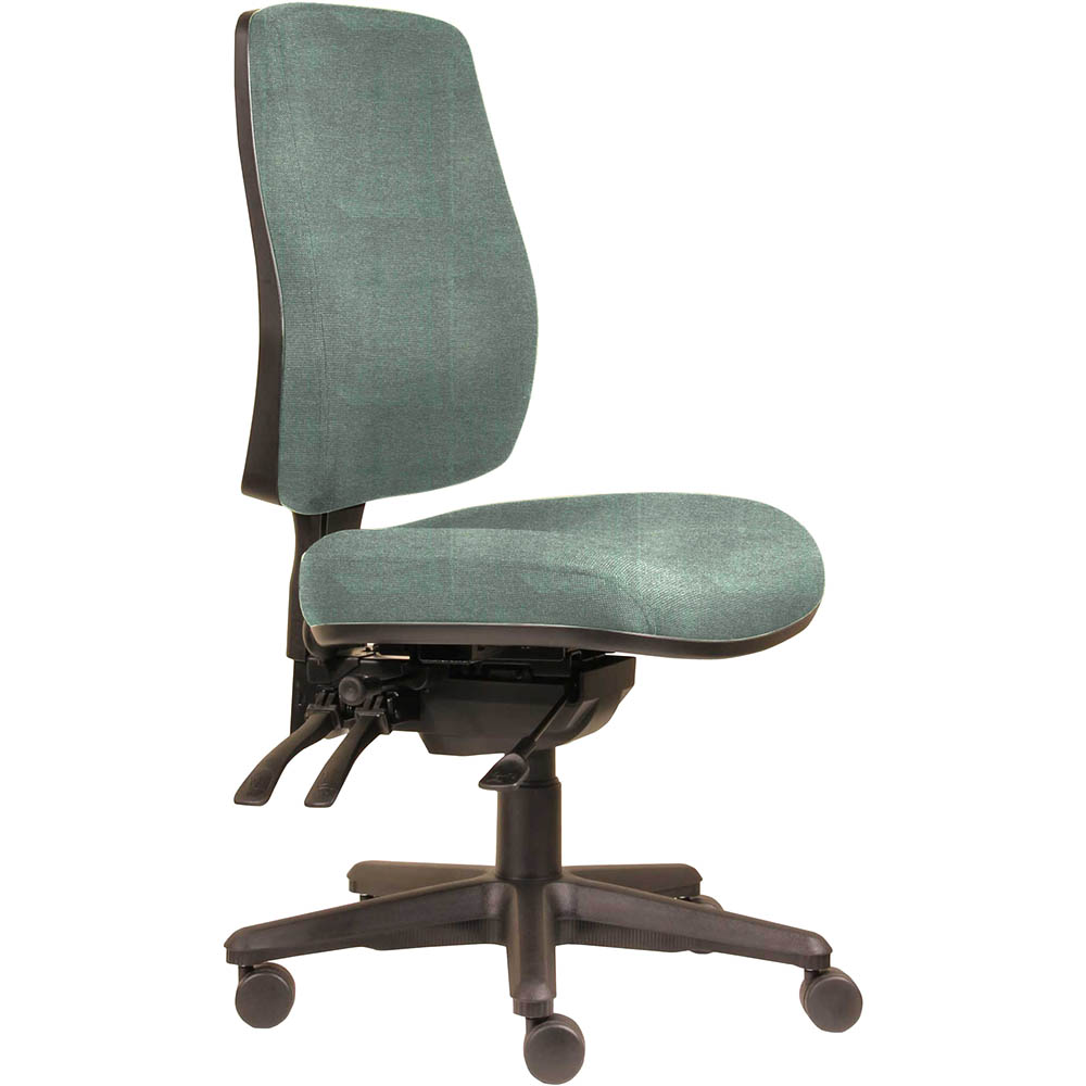 ERGOSELECT SPARK ERGONOMIC CHAIR HIGH BACK 3 LEVER SEAT SLIDE BLACK NYLON BASE CLOUD