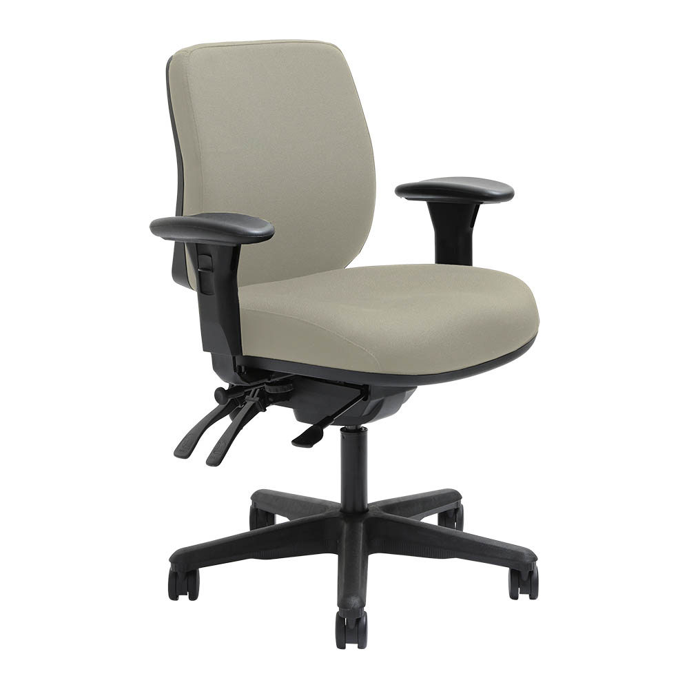 DAL ERGOSELECT SPARK ERGONOMIC CHAIR MEDIUM BACK 3 LEVER SEAT SLIDE BLACK NYLON BASE ADJUSTABLE ARMS DRIFTWOOD