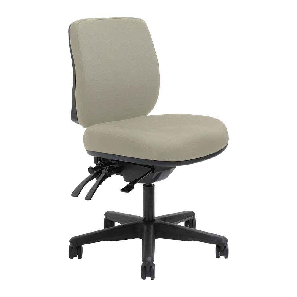 DAL ERGOSELECT SPARK ERGONOMIC CHAIR MEDIUM BACK 3 LEVER SEAT SLIDE BLACK NYLON BASE DRIFTWOOD