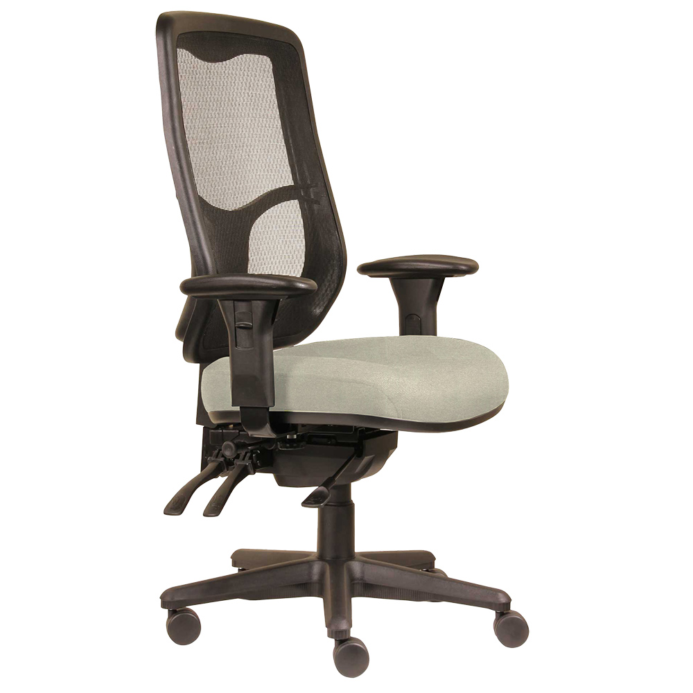 DAL ERGOSELECT SWIFT ERGONOMIC CHAIR HIGH MESH BACK 3 LEVER SEAT SLIDE BLACK NYLON BASE ADJUSTABLE ARMS DRIFTWOOD