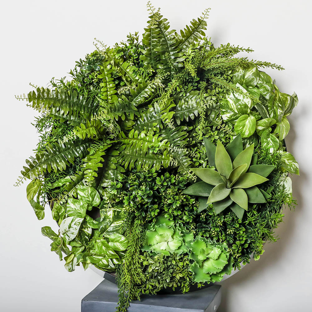 Plant Image Vertical Wall Garden Round Large