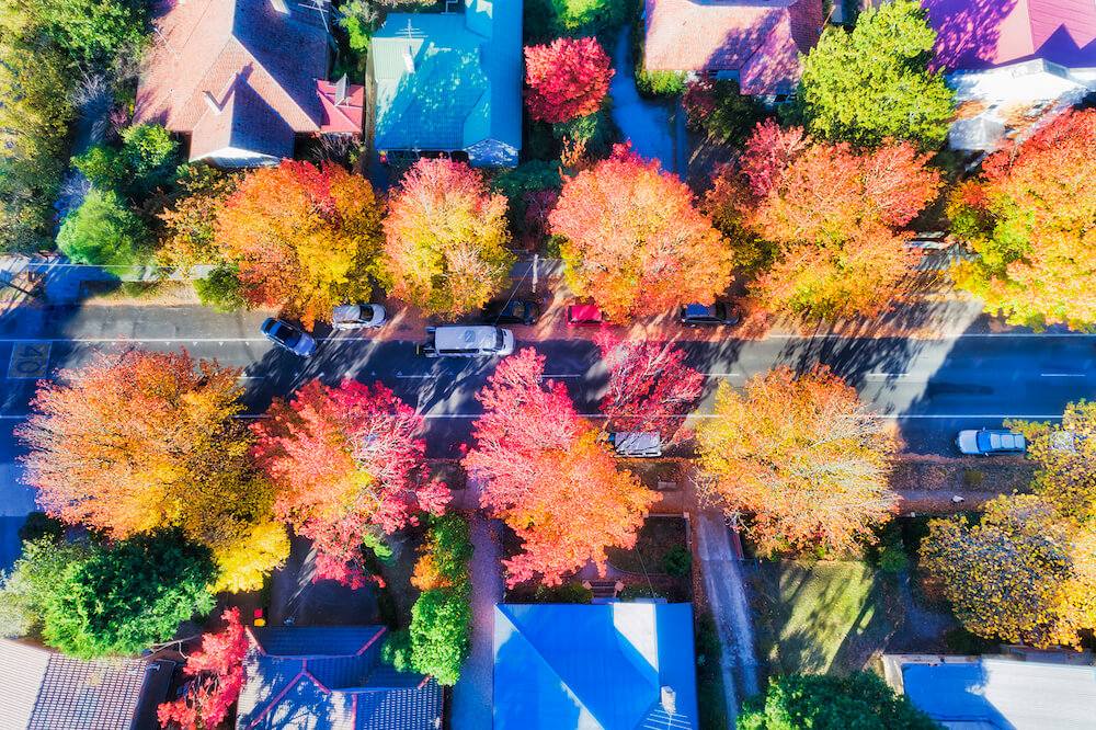 What buyers are looking for in a shifting market