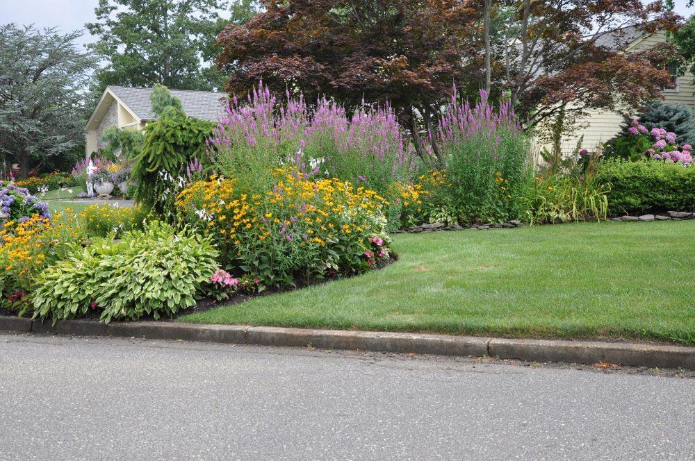 How much does landscaping and gardening cost in 2025? - OpenAgent