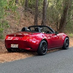 speedfiend41