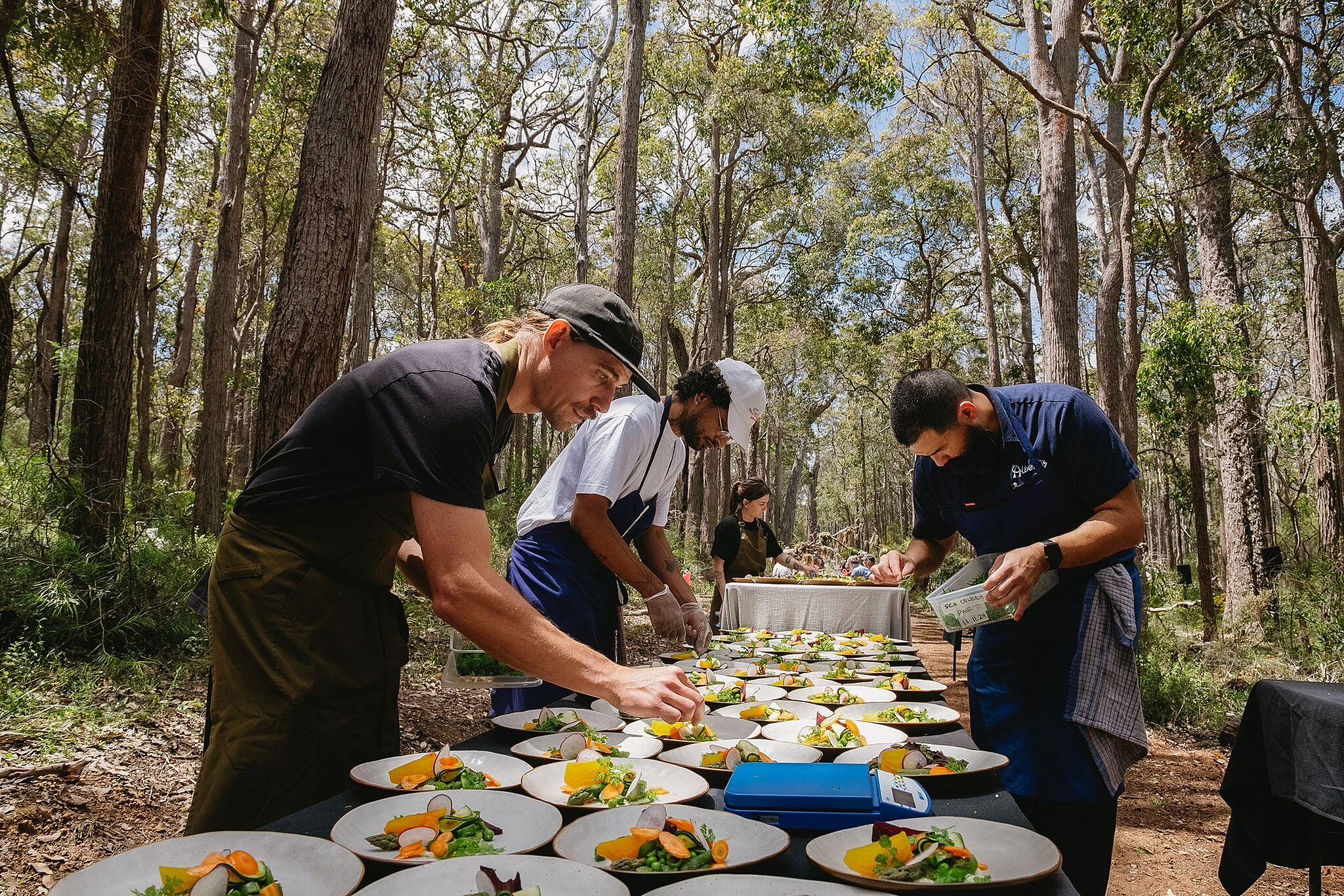 Whats App Image 2024 11 21 at 21 34 29 2