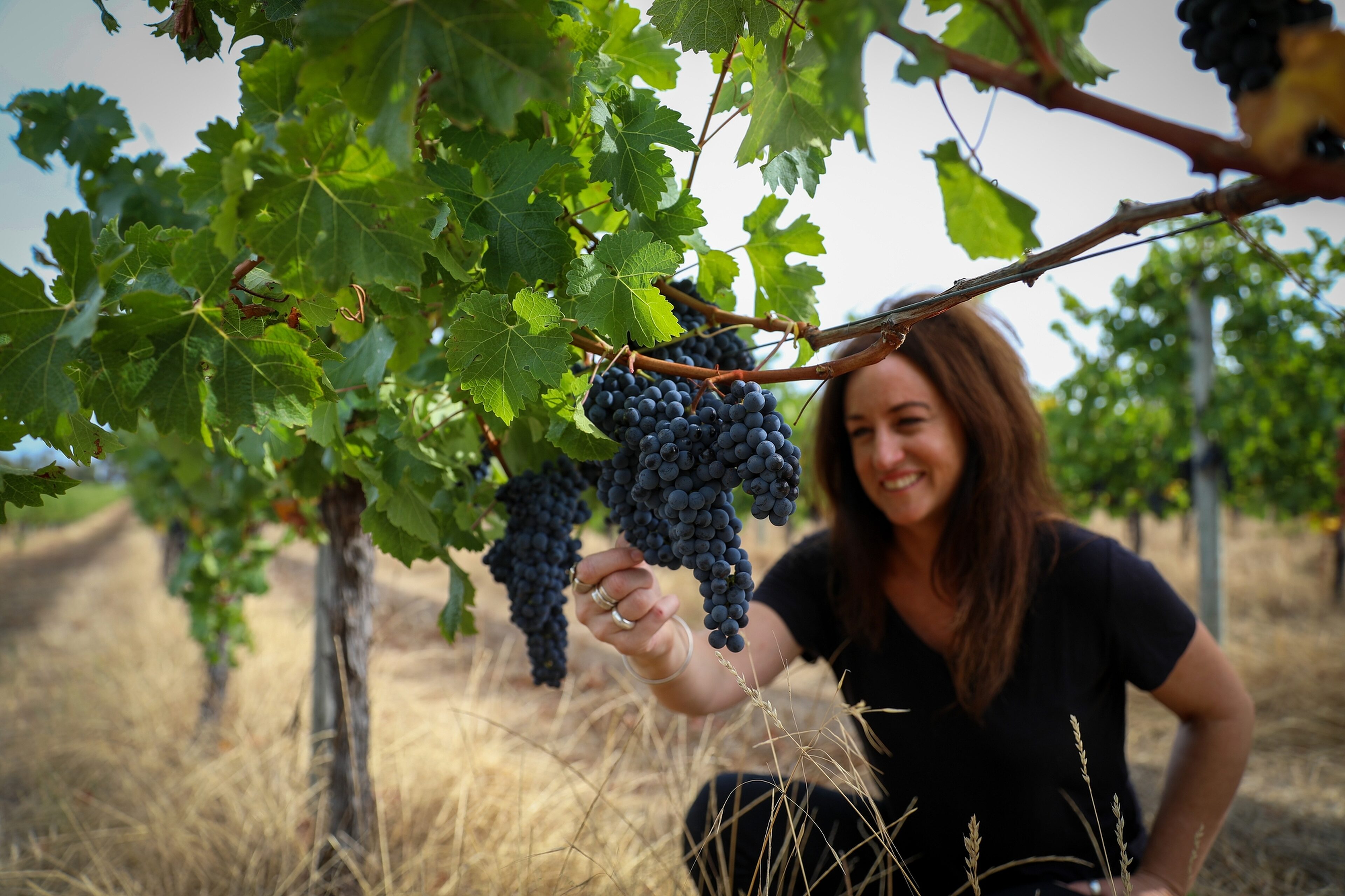 Chief Winemaker Virginia Willcock with Cabernet 1