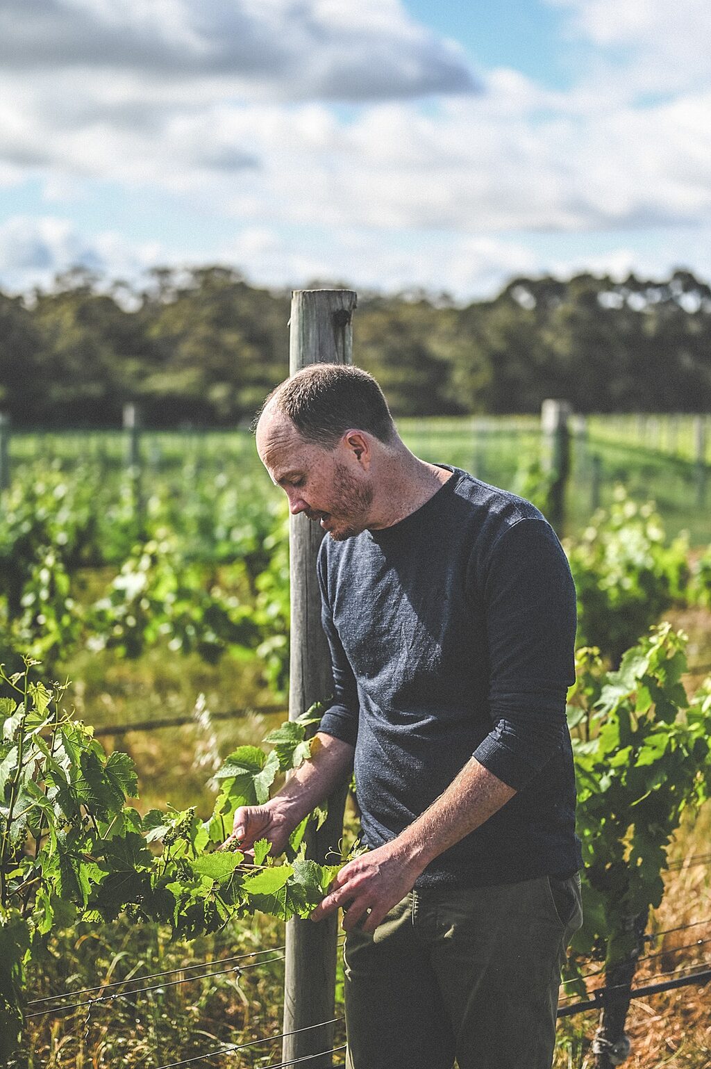 Tim Shand Chief Winemaker 2