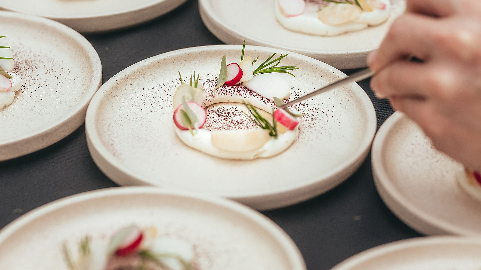 Paird festival Cjmaddock Natures Table 08