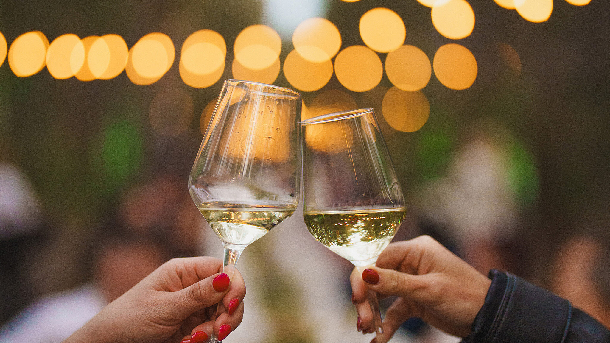 Paird festival Natures Table shotbyovis 79