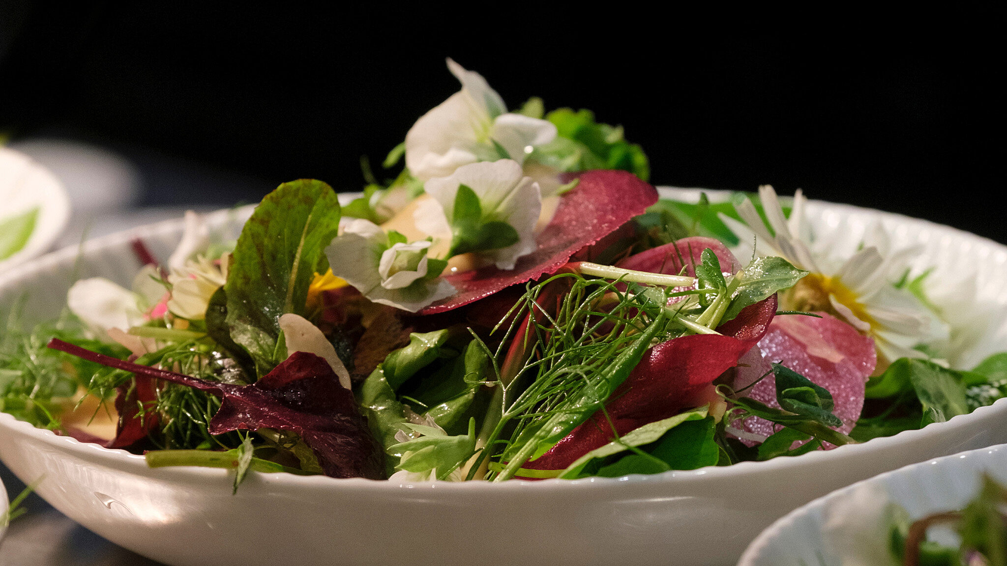 Paird festival Rachel Claire Paird Wayfinder5