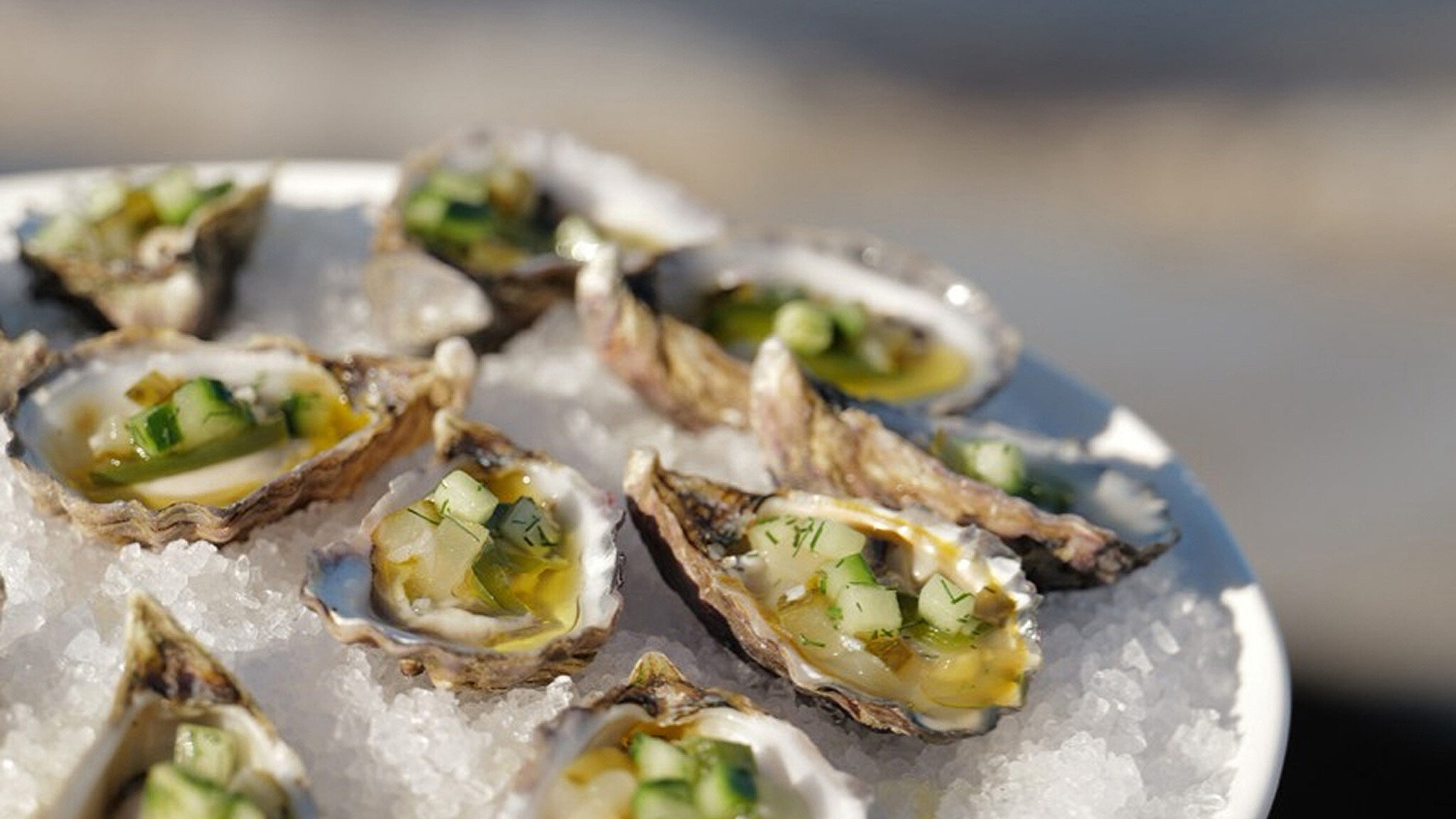 Paird festival shot by Thom Paird Beach Club x range rover 4