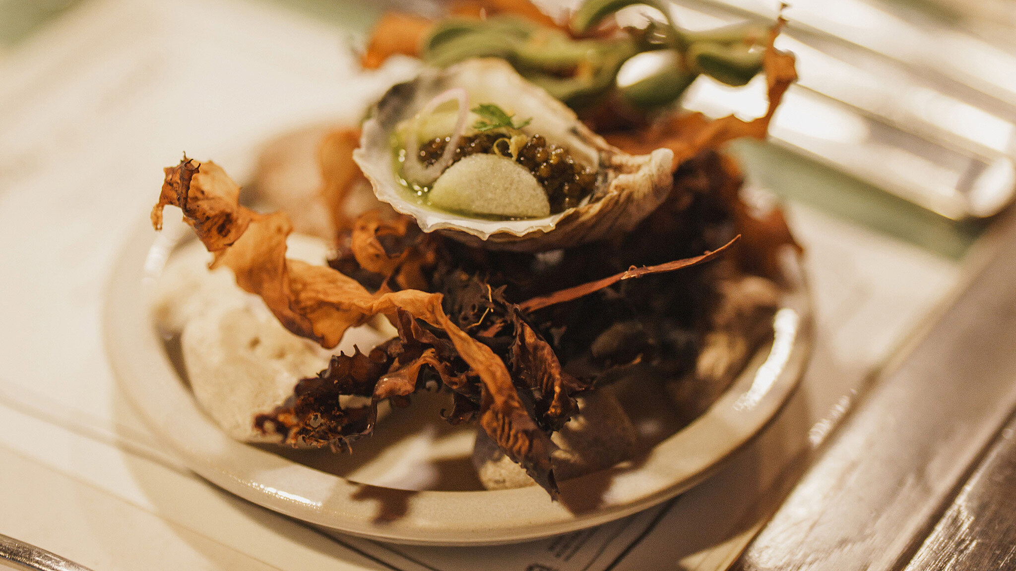 Paird festival shotbyovis 22