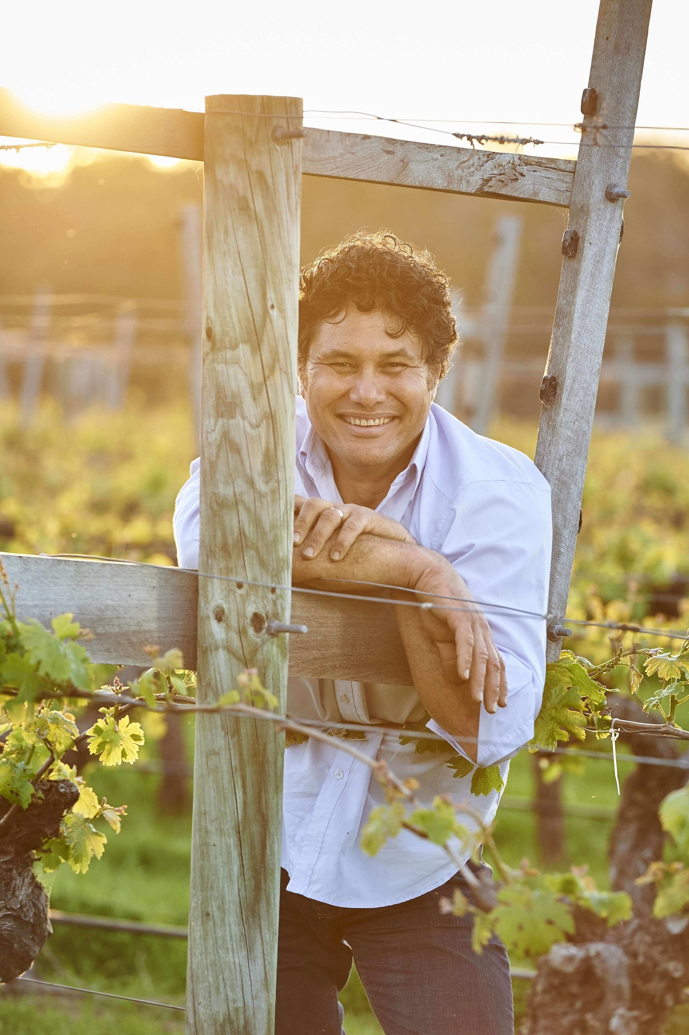 Chris Gillmore Clairault Streicker Senior Vineyard Manager Viticulturist in the A Block cabernet 1